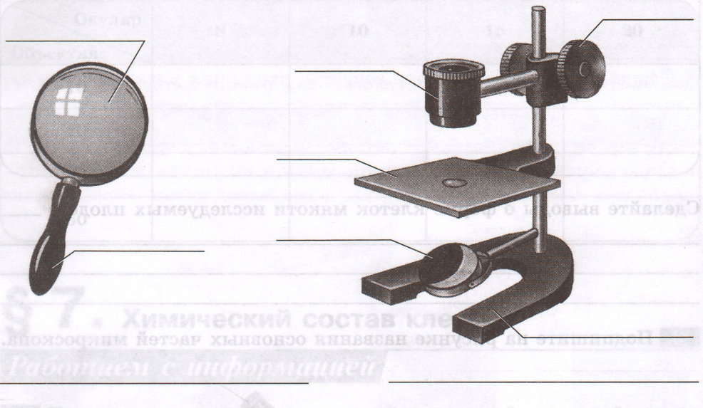 Задание рисунок 1