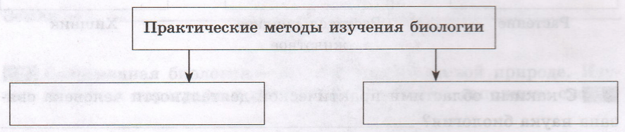 Задание рисунок 1