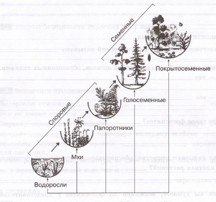 Задание рисунок 1