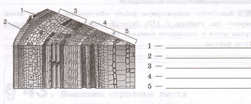 Задание рисунок 1