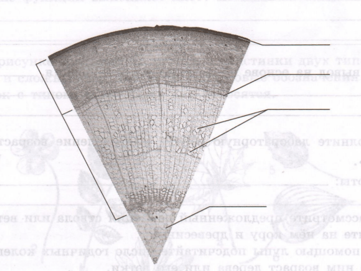 Задание рисунок 1