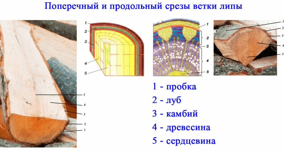 Решение рисунок 1