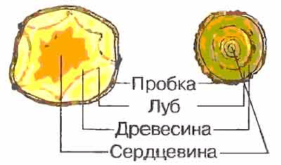 Решение рисунок 2