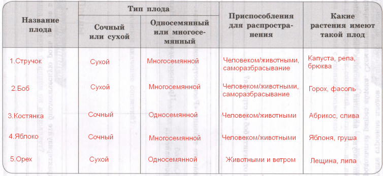 Решение рисунок 1