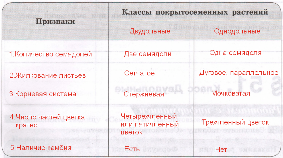 Решение рисунок 1