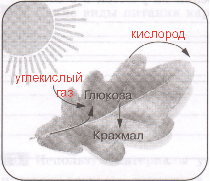 Решение рисунок 1
