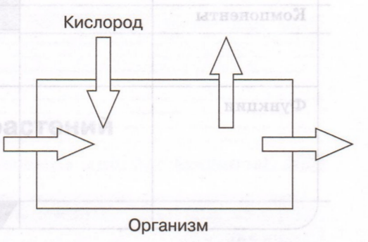 Задание рисунок 1