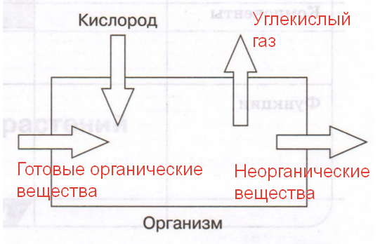 Решение рисунок 1