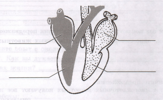 Задание рисунок 1