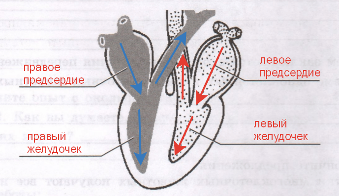Решение рисунок 1
