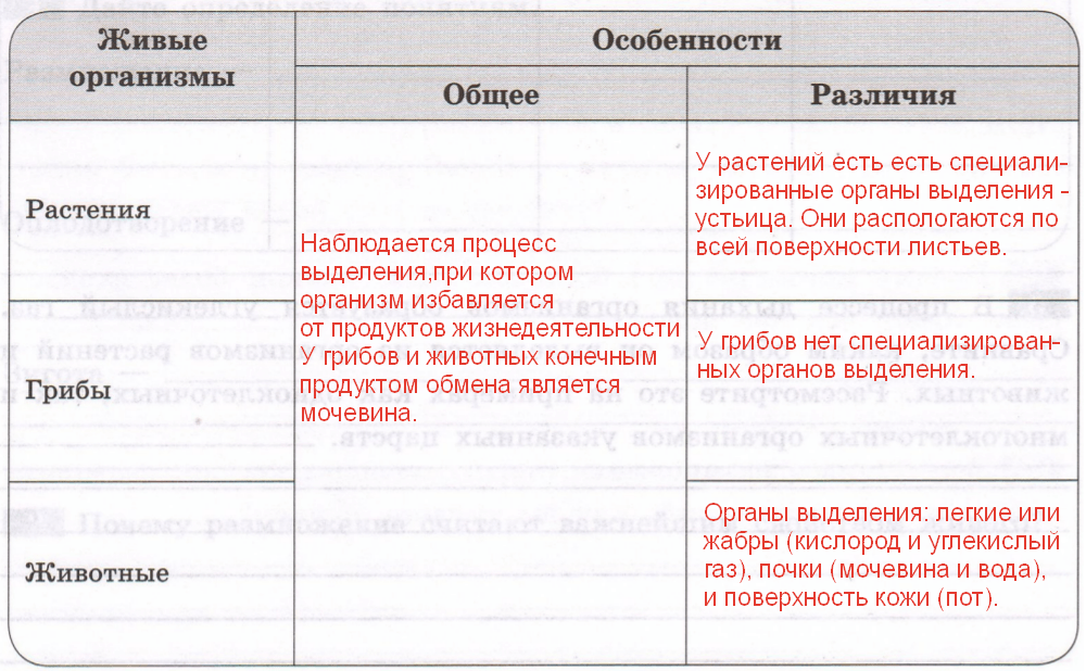 Решение рисунок 1