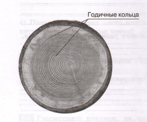 Задание рисунок 1