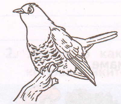 Задание рисунок 1