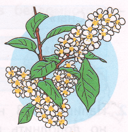 Задание рисунок 1