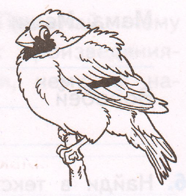 Задание рисунок 1