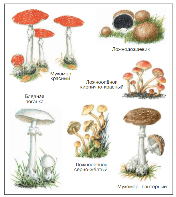 Решение рисунок 2