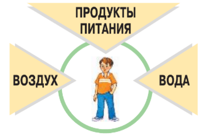 Задание рисунок 1