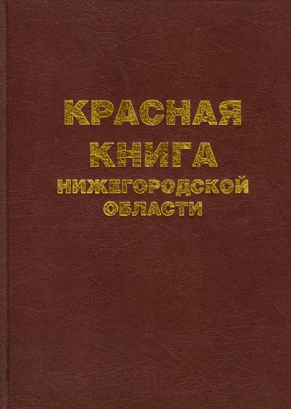 Решение рисунок 1