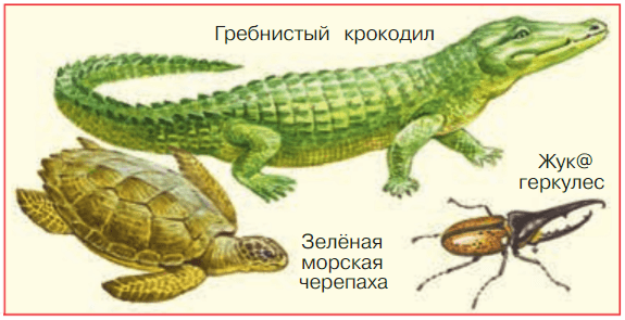 Задание рисунок 1
