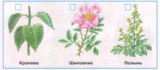 Задание рисунок 1