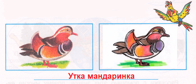 Решение рисунок 1