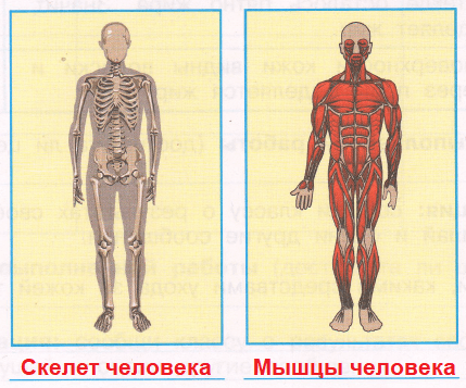 Решение рисунок 1