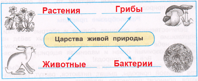 Решение рисунок 1
