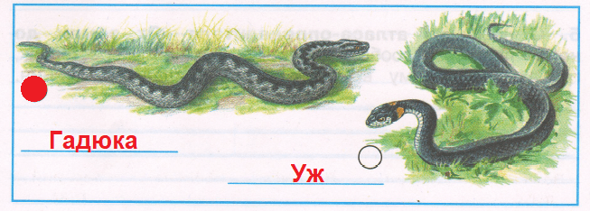 Решение рисунок 1