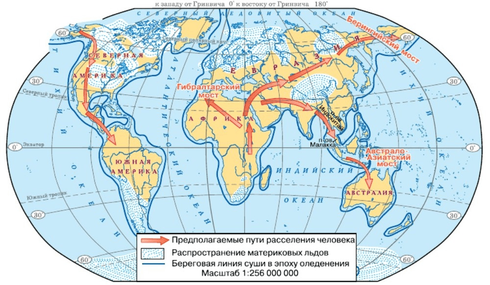 Задание рисунок 1