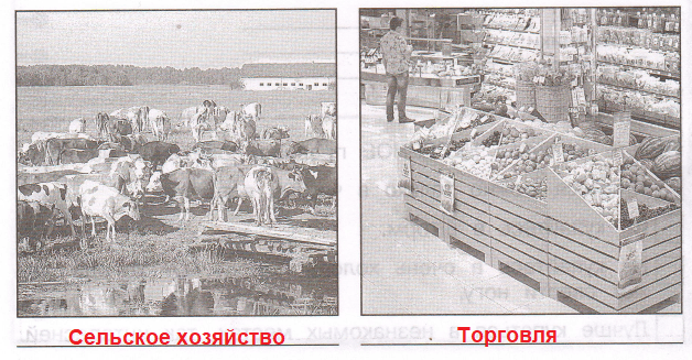 Решение рисунок 1