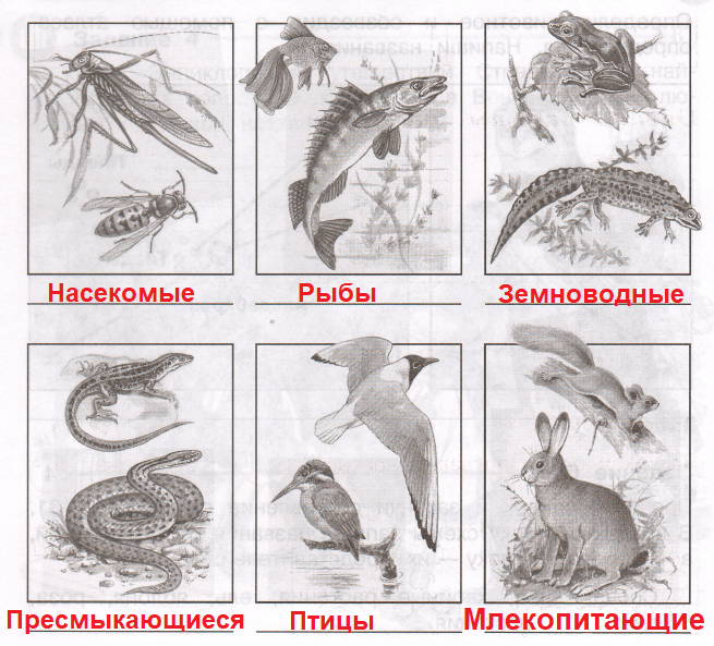 Решение рисунок 1