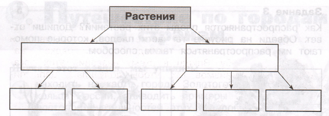 Задание рисунок 1