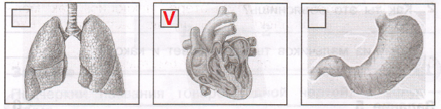 Решение рисунок 1