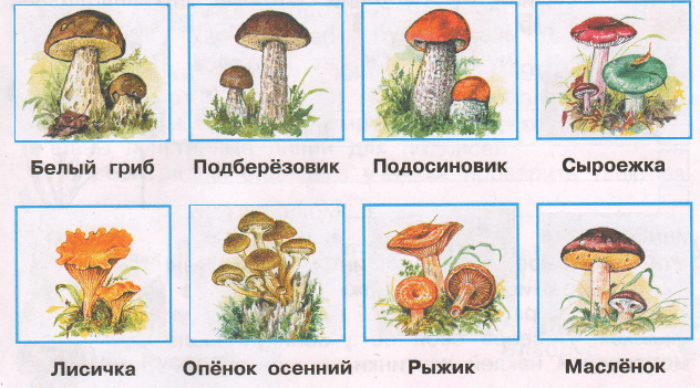 Решение рисунок 1