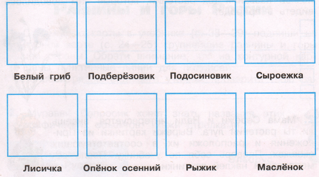 Задание рисунок 1