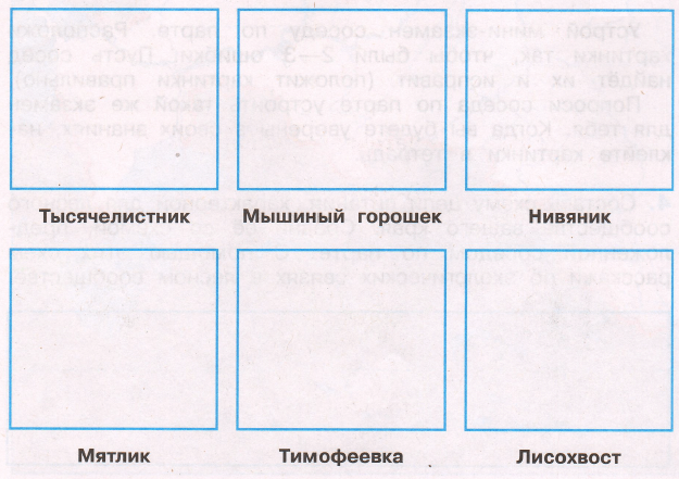 Мама сережи и нади интересуется знаешь ли ты культурные растения вырежи рисунки из приложения