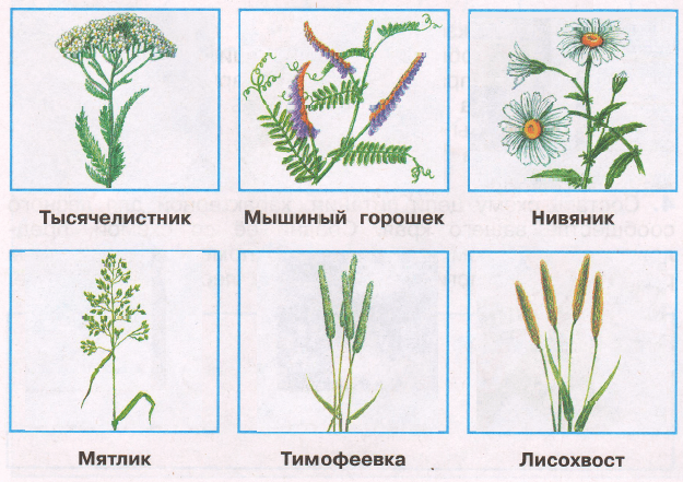 Решение рисунок 1