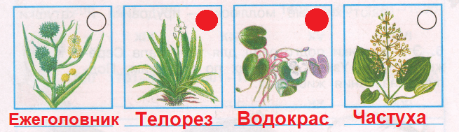 Решение рисунок 1