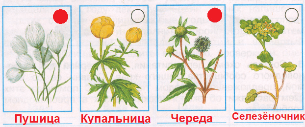 Решение рисунок 2