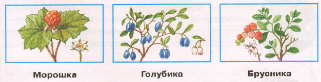 Задание рисунок 1