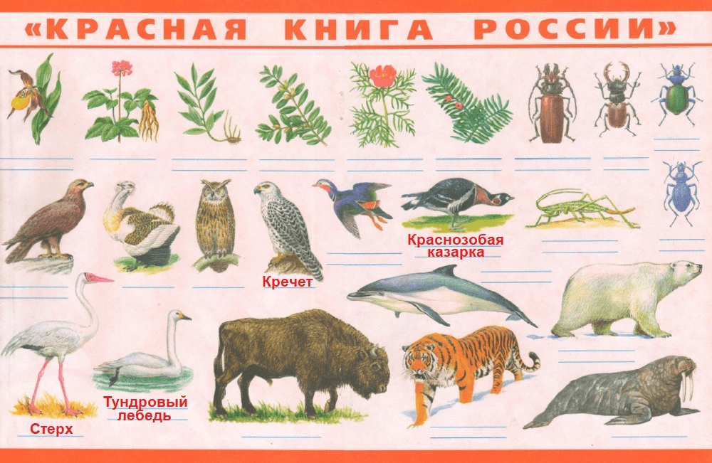 Решение рисунок 1