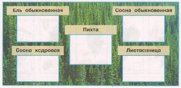 Задание рисунок 1