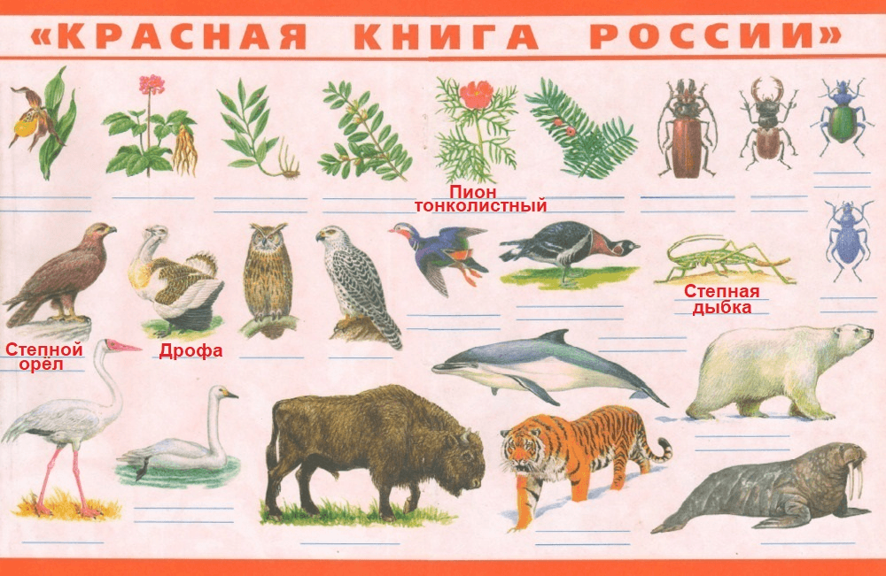 Решение рисунок 1
