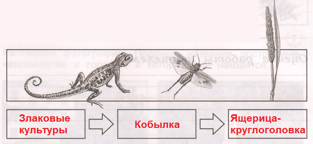 Решение рисунок 1
