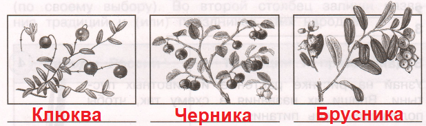 Решение рисунок 1