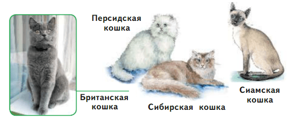 Задание рисунок 1