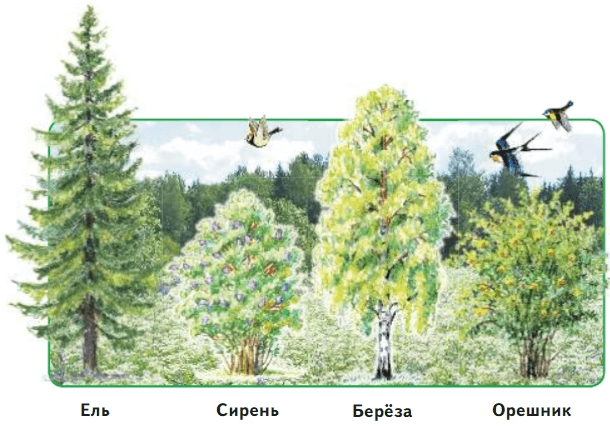Задание рисунок 1