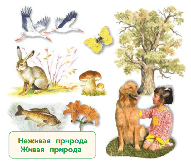 Задание рисунок 2