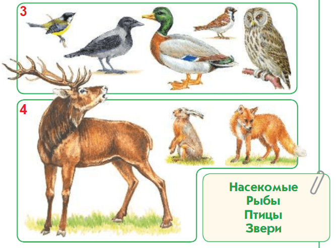 Решение рисунок 2