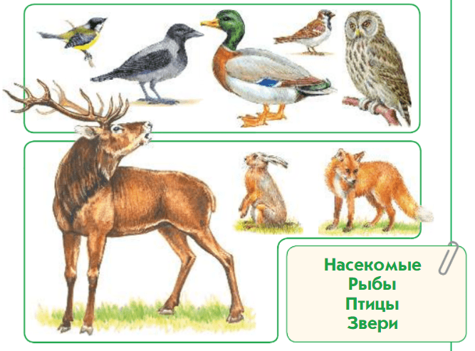 Задание рисунок 2